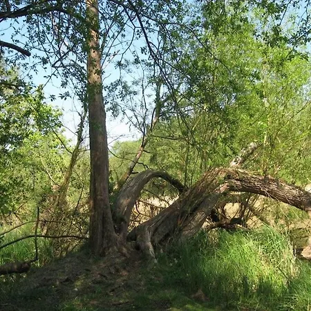 High Bank With Sea View *